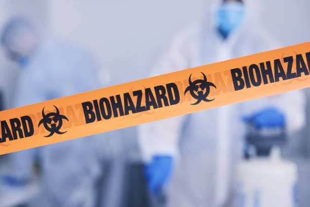 Professional Odor Removal technician working in Shelton, CT